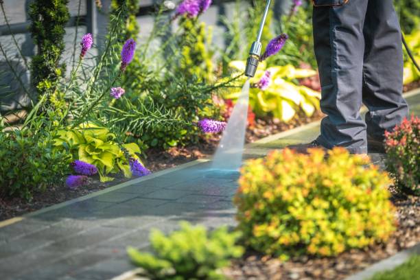 Best Pool Deck Cleaning  in Federalsburg, MD
