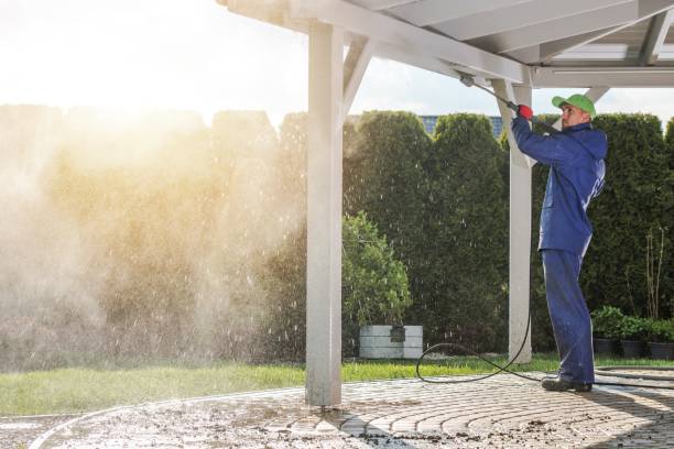 Best Building Exterior Washing  in Federalsburg, MD
